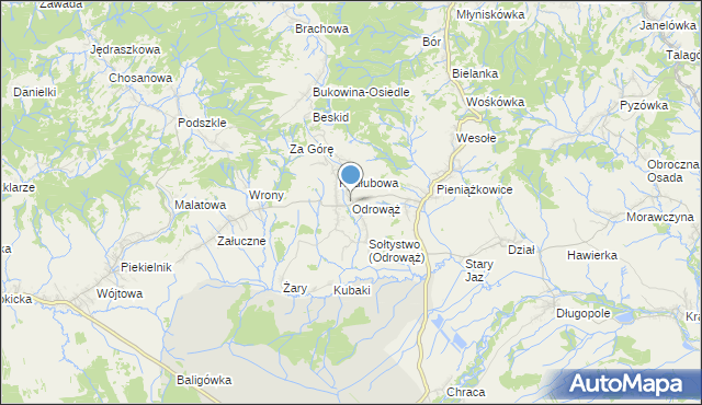 mapa Odrowąż, Odrowąż gmina Czarny Dunajec na mapie Targeo